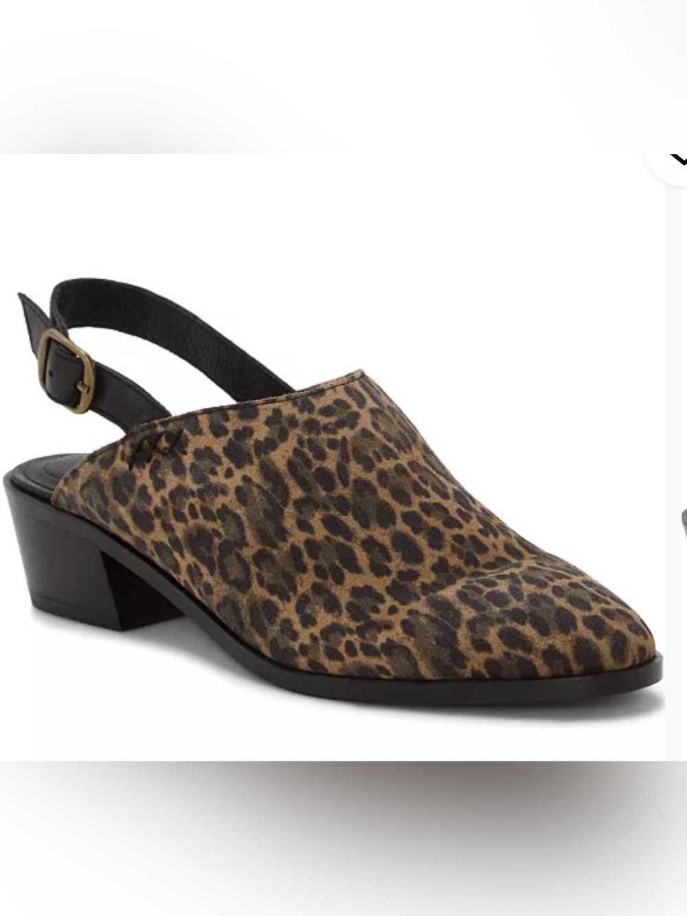 NEW Lucky Brand Leopard Print Genuine Leather Slingback Mule Brown & Black 8.5